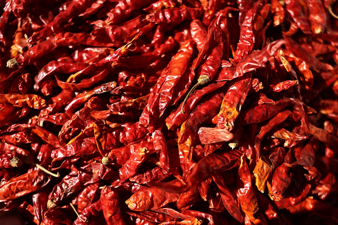 Red Chilli - Image 2