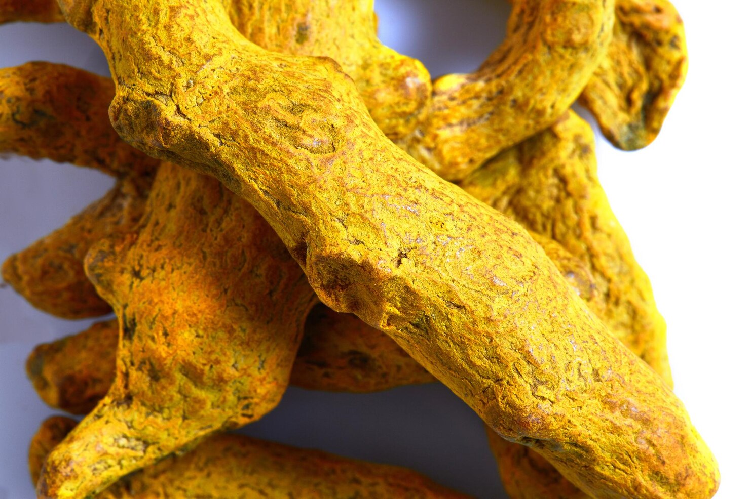 Turmeric Powder (High Curcumin) - Image 3
